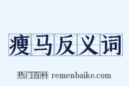 瘦马反义词是什么意思的图片
